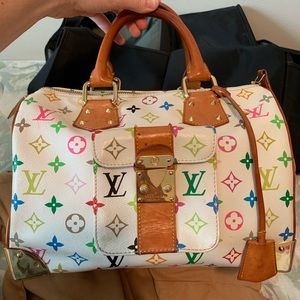 Louis Vuitton Speedy 30 Monogram Multicolor